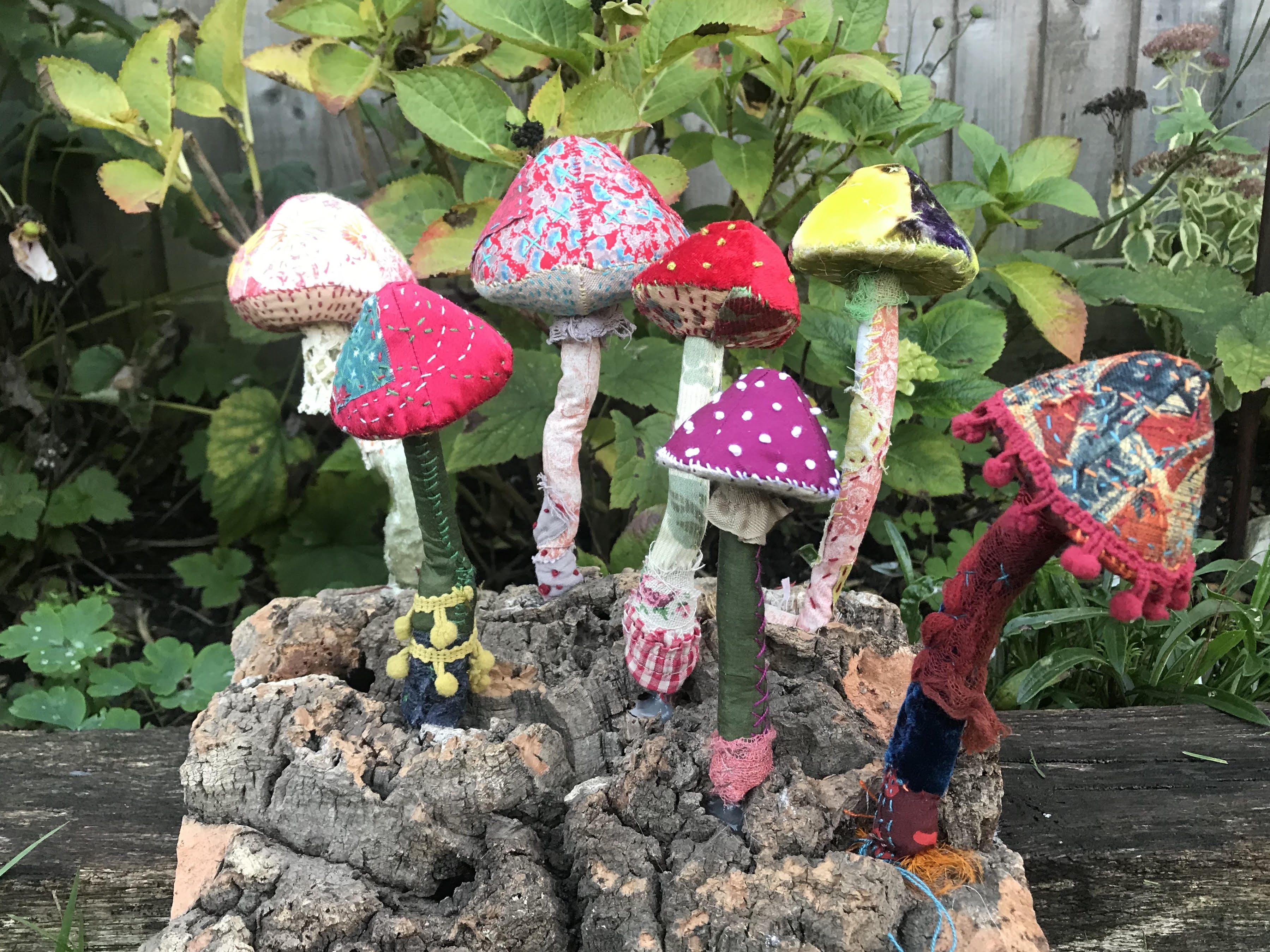 Toadstools in the Garden